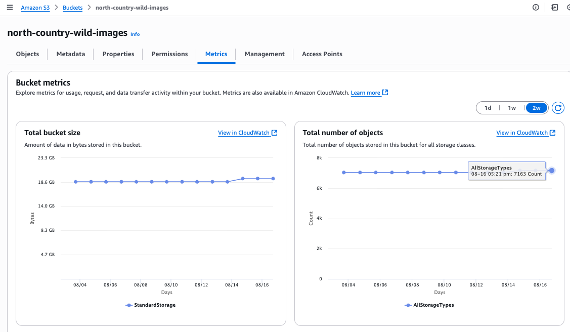 Examining bucket metrics