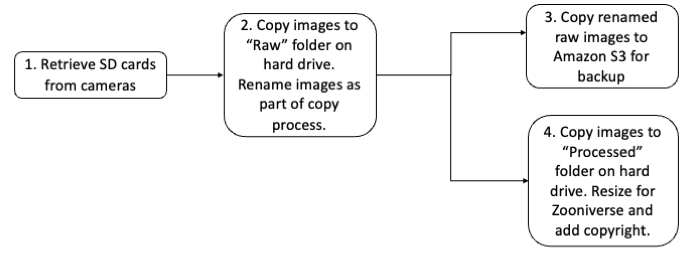 Image processing workflow